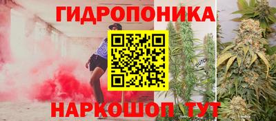 хмурый Малоярославец